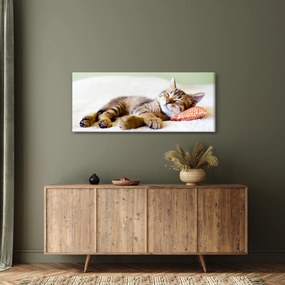 Tablou - Pisicuța adormită (120x50 cm)