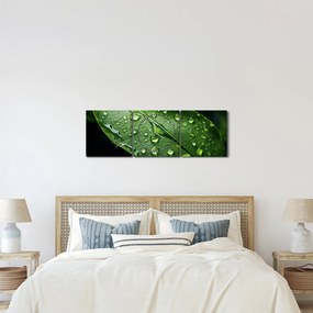 Tablou - Frunză după ploaie (cu ceas) (90x30 cm)