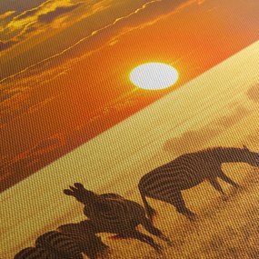 Tablou - Zebre cu apus de soare (150x105 cm)