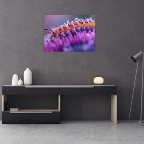 Tablou - Caterpillar (70x50 cm)
