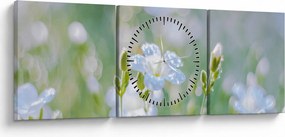 Tablou - Flori delicate (cu ceas) (90x30 cm)