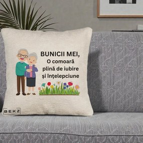Cadou pentru Bunici - Perna Personalizata Bunicii Mei Comoara Cuplu Senior cu Flori Colorat, 40x40 cm, Bej Canapea, Husa Detasabila, Perna Inclusa, BEKZ®