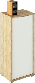Dulap RIOMA TYP 10, stejar artisan/alb, DTD laminat, cu o usa, 50x38x1