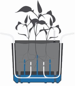Plastia Plantă de volum mare cu auto-apărareBerberis 55, teracotă + fildeș