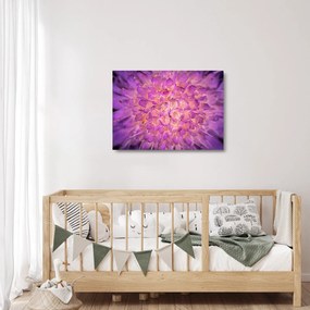 Tablou pe sticlă detailat cu floare (70x50 cm)