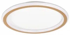 Plafoniera moderna led 30W Gold EL0075194 Erste