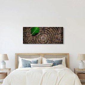 Tablou cu frunză pe trunchi de copac (120x50 cm)