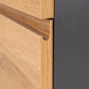 Vario Pull 120 dulap de bază cu chiuvetă stejar antracit