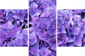 Tablou cu flori violete (90x60 cm)