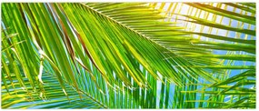 Tablou - Frunze de palmier (120x50 cm)
