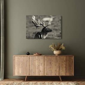Tablou - Cerb (90x60 cm)