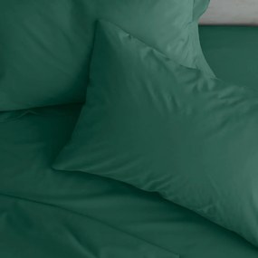 Fețe de pernă 2 buc. din bumbac percale 75x50 cm Easy Iron Percale – Catherine Lansfield