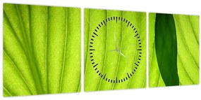 Tablou - Detaliu de frunză verde (cu ceas) (90x30 cm)