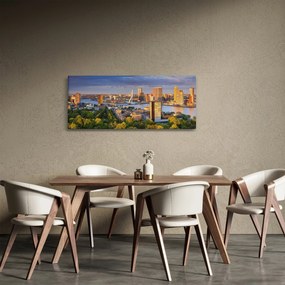 Tablou - Panorama Rotterdamului, Țările de Jos (120x50 cm)