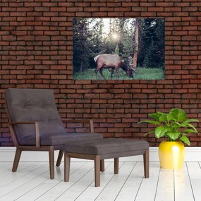 Tablou - Elan în poiană (90x60 cm)