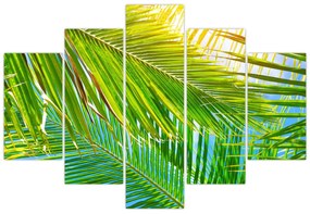 Tablou - Frunze de palmier (150x105 cm)