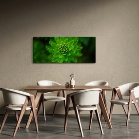 Tablou cu coniferi (120x50 cm)