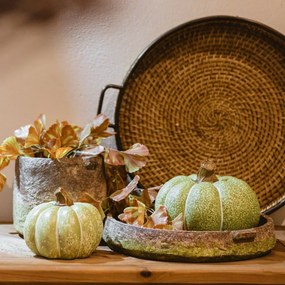 Dovleac decorativ Pumpkin Harvest, verde, 20x15 cm - modele diverse