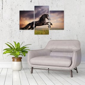 Tablou - Cai (90x60 cm)