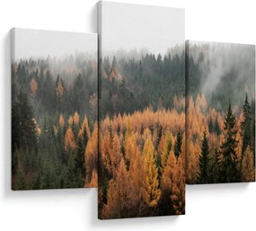 Tablou - Pădure toamna (90x60 cm)
