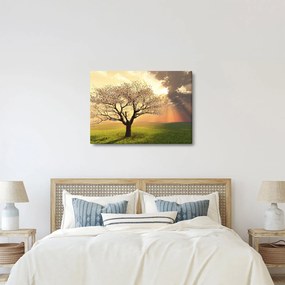 Tablou cu copac pe luncă (70x50 cm)