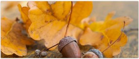 Tablou - Ghinde de toamnă (120x50 cm)