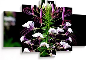 Tablou cu floare (150x105 cm)