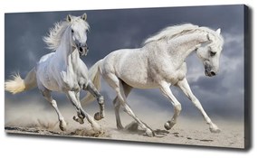 Tablou pe pânză White beach horse