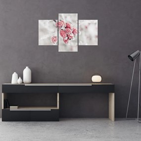 Tablou - Fructe congelate (90x60 cm)