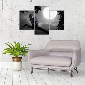 Tablou - Bufniță de noapte, bufniță mov (90x60 cm)