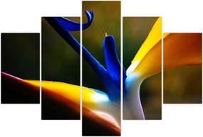 Tablou - Floare exotică (150x105 cm)