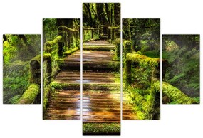 Tablou cu scări într-o pădure tropicală (150x105 cm)