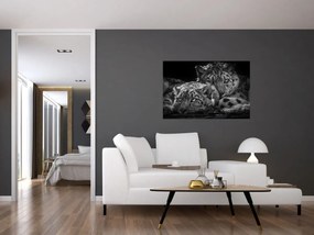 Tablou - Gheparzi care se odihnesc (90x60 cm)