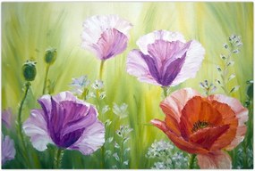 Tablou - Maci (90x60 cm)