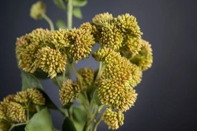 Aranjament floral mediu design LUX SEDUM PLANT