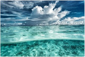 Tablou - privire sub nivelul mării (90x60 cm)