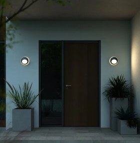 Aplica de perete / tavan exterior IP54 Oliver Black
