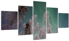 Tablou  cu aurora borealis deasupra pomilor înghețați (125x70 cm), în 40 de alte dimensiuni noi