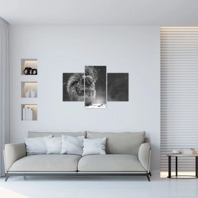 Tablou - Veveriță în timpul iernii (90x60 cm)