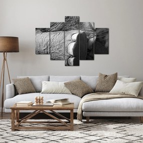 Tablou - Picior de elefant (150x105 cm)