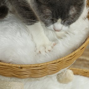 PawHut Arbore de pisici arbore de cățărat înălțime 75,5 cm cu două paturi pentru pisică din răchită zgâriere perne lavabile bej | Aosom Romania