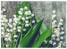 Tablou cu lăcrimioare (70x50 cm)