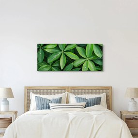 Tablou - Frunze cu picături de rouă (120x50 cm)