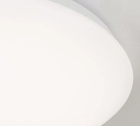 Plafoniera LED diametru 30cm, Nedo NU 9-387/30B opal OR