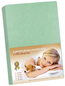 Cearceaf jersey cu elastan, verde, 180 x 200 cm