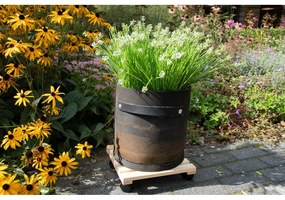 Bază mobilă pentru ghiveci din lemn (înălțime 8 cm) Indoor &amp; Outdoor – Esschert Design