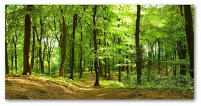 Pictura pe sticlă acrilică Drum forestier