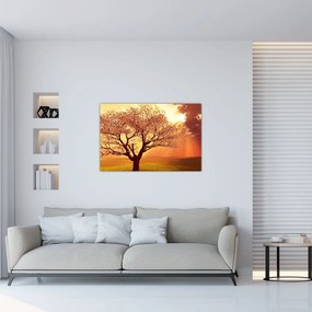 Tablou cu razele lui Dumnezeu (90x60 cm)