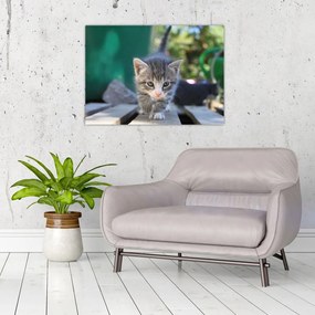 Tablou pe sticlă cu pisicuțe (70x50 cm)