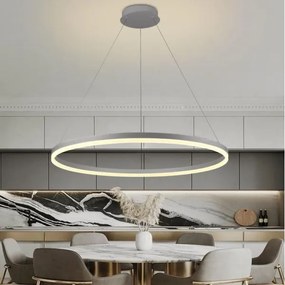 Lustră LED dimabilă pe cablu Brilagi CIRCLE LED/55W/230V 3000-6500K argintiu + telecomandă